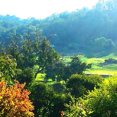 בית הארחה Brookvale House בלינגאפ מראה חיצוני תמונה
