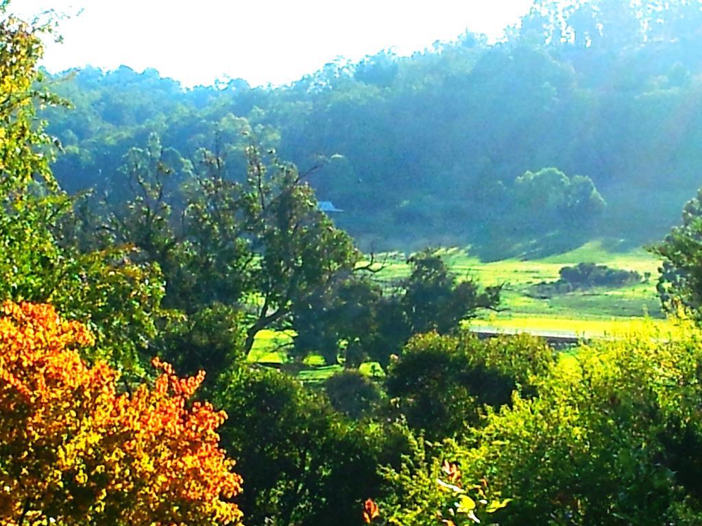 בית הארחה Brookvale House בלינגאפ מראה חיצוני תמונה